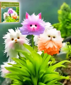 GFOUK® Dazzle Blossom Seeds