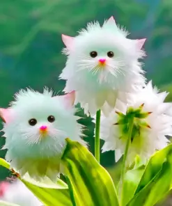 GFOUK® Dazzle Blossom Seeds