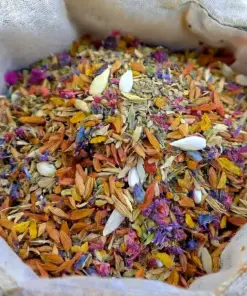GFOUK® Dazzle Blossom Seeds