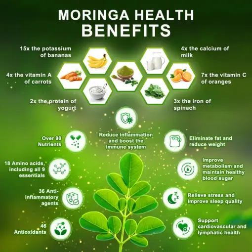 GFOUK® GLP-1 Moringa Slimming & Health Boost Powder