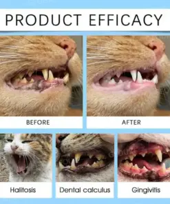 GFOUK® Pet Dental & Digestive Health Oral Liquid