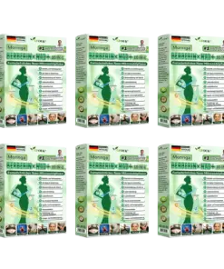 𝐆𝐅𝐎𝐔𝐊® Moringa · Berberin × NAD+ 10-in-1 Advanced Nano Mikronadel-Patch