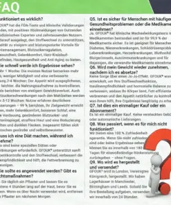 𝐆𝐅𝐎𝐔𝐊® Moringa · Berberin × NAD+ 10-in-1 Advanced Nano Mikronadel-Patch