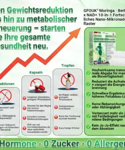 𝐆𝐅𝐎𝐔𝐊® Moringa · Berberin × NAD+ 10-in-1 Advanced Nano Mikronadel-Patch