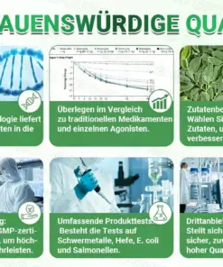 𝐆𝐅𝐎𝐔𝐊® Moringa · Berberin × NAD+ 10-in-1 Advanced Nano Mikronadel-Patch